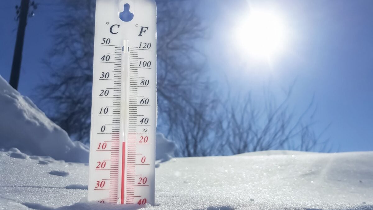 polar-vortex-chaos-how-monkey-powered-tech-is-saving-spring