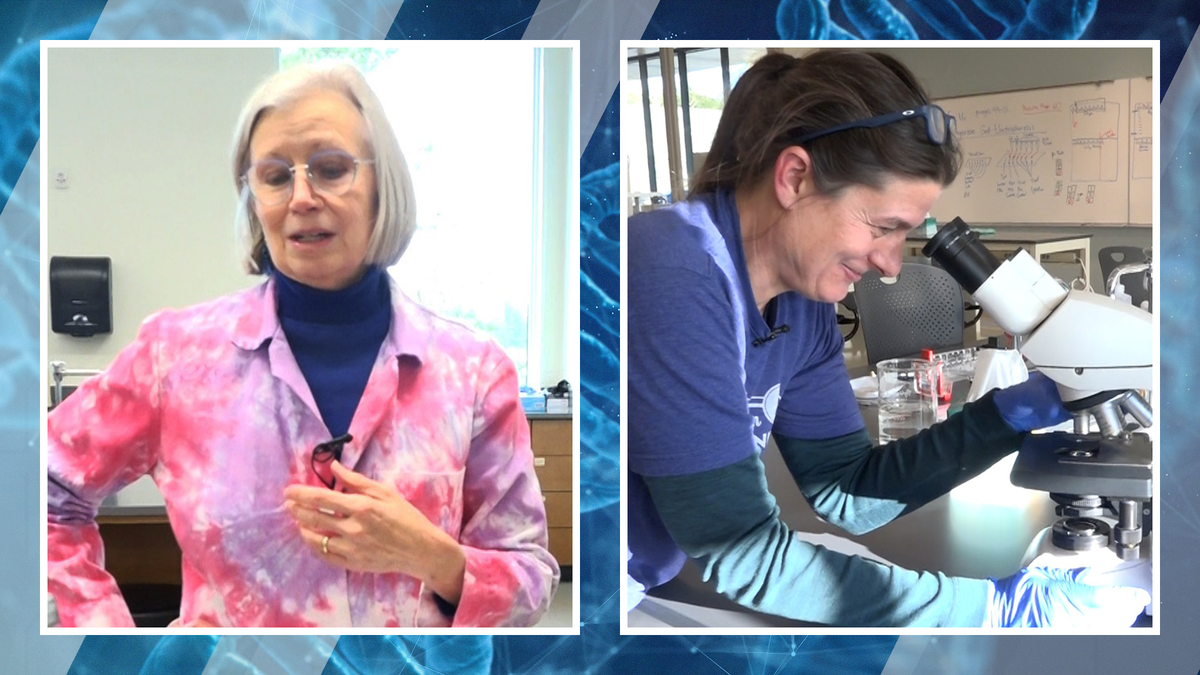 women-in-science-breaking-barriers-and-shattering-glass-ceilings